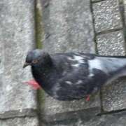 ヒメ日記 2025/12/05 19:12 投稿 新人ゆい☆デリヘル未経験 セレブ パラダイス