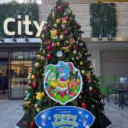 ヒメ日記 2025/12/08 18:18 投稿 新人ゆい☆デリヘル未経験 セレブ パラダイス