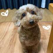 ヒメ日記 2025/10/13 08:18 投稿 ユリ AMOUR（アムール）