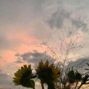 さいか 空癒される〜 渋谷じゃっくす