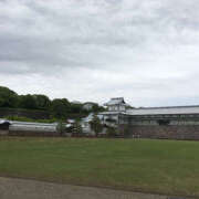 ヒメ日記 2025/11/20 13:16 投稿 まなみ ハピネス水戸