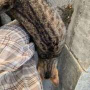 ヒメ日記 2026/03/17 13:16 投稿 まなみ ハピネス水戸