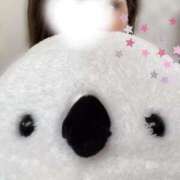 ヒメ日記 2025/09/29 11:30 投稿 まこと Beppin house