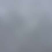 ヒメ日記 2026/03/20 12:22 投稿 塚本　れいこ ハプニングランド