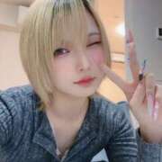 月城ゆえ こんです〜🐺🤍 ブルーバード