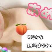 ヒメ日記 2025/09/11 08:34 投稿 あめ セレブクエスト-koshigaya-