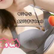 ヒメ日記 2025/09/12 08:34 投稿 あめ セレブクエスト-koshigaya-