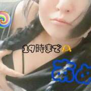 ヒメ日記 2025/09/19 12:14 投稿 あめ セレブクエスト-koshigaya-