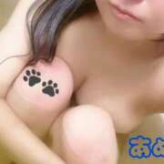 ヒメ日記 2025/10/23 18:19 投稿 あめ セレブクエスト-koshigaya-