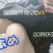 ヒメ日記 2025/10/24 12:41 投稿 あめ セレブクエスト-koshigaya-