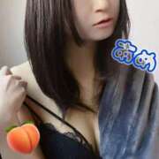 ヒメ日記 2025/11/25 08:51 投稿 あめ セレブクエスト-koshigaya-