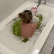 ヒメ日記 2026/03/29 03:41 投稿 ゆうひ ドM女学園大阪