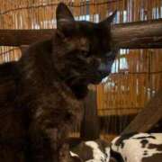 ヒメ日記 2026/02/07 11:05 投稿 しろ 素人系イメージSOAP 彼女感 宇都宮本館