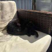 ヒメ日記 2026/03/18 22:28 投稿 しろ 素人系イメージSOAP 彼女感 宇都宮本館