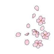 ヒメ日記 2026/04/06 04:05 投稿 しろ 素人系イメージSOAP 彼女感 宇都宮本館