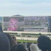 ヒメ日記 2026/04/13 19:33 投稿 すばる すごいエステ京都店