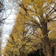 ヒメ日記 2025/12/23 16:19 投稿 めあ エデンR