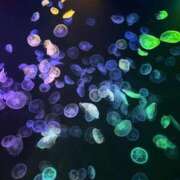 めあ 満枠です❕♡ エデンR