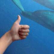 ヒメ日記 2025/09/05 14:05 投稿 瀬戸すずめ 手コキ研修塾