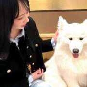 ヒメ日記 2025/12/03 01:02 投稿 りぃ E+アイドルスクール新宿・歌舞伎町店