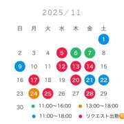 ヒメ日記 2025/10/30 12:38 投稿 みさ ルピナス