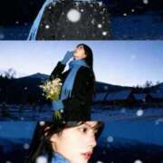 ヒメ日記 2025/11/12 08:39 投稿 みさ ルピナス