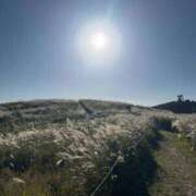 ヒメ日記 2025/10/09 15:56 投稿 ララ ルパン