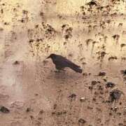 ヒメ日記 2025/09/08 22:24 投稿 田宮たまき elumo(エルモ)