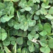 ヒメ日記 2025/09/23 22:26 投稿 田宮たまき elumo(エルモ)