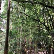 ヒメ日記 2025/10/30 22:53 投稿 田宮たまき elumo(エルモ)