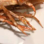 ヒメ日記 2025/11/12 23:30 投稿 田宮たまき elumo(エルモ)