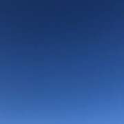 ヒメ日記 2025/11/14 20:17 投稿 田宮たまき elumo(エルモ)