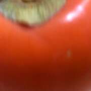 ヒメ日記 2025/11/23 23:27 投稿 田宮たまき elumo(エルモ)