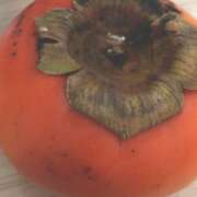 田宮たまき かなしい話してごめんね elumo(エルモ)