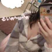 ヒメ日記 2025/11/10 10:02 投稿 るい 水戸女学院PTA