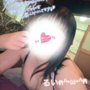 ヒメ日記 2025/11/11 11:01 投稿 るい 水戸女学院PTA