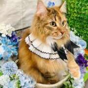 ヒメ日記 2025/08/30 13:23 投稿 りお ビデオdeはんど 横浜校