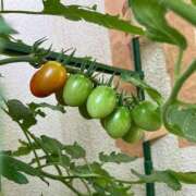 ヒメ日記 2025/08/30 22:21 投稿 名月 BBW錦糸町店