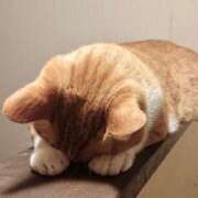 ヒメ日記 2025/09/03 16:03 投稿 すず 舐めフェチの会