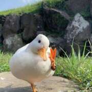 ヒメ日記 2025/09/04 22:53 投稿 すず 舐めフェチの会