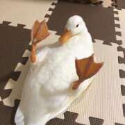 ヒメ日記 2025/09/05 19:20 投稿 すず 舐めフェチの会