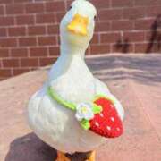 ヒメ日記 2025/09/08 19:18 投稿 すず 舐めフェチの会