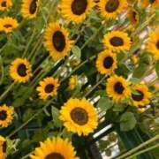 ヒメ日記 2025/09/09 22:05 投稿 すず 舐めフェチの会