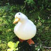 ヒメ日記 2025/09/13 19:55 投稿 すず 舐めフェチの会