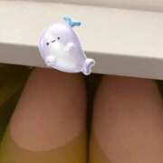 ヒメ日記 2025/10/03 20:10 投稿 すず 舐めフェチの会