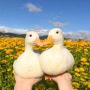 ヒメ日記 2025/10/09 18:20 投稿 すず 舐めフェチの会