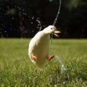 ヒメ日記 2025/10/16 11:44 投稿 すず 舐めフェチの会