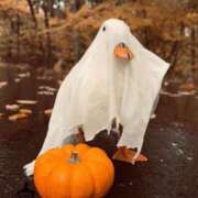 ヒメ日記 2025/10/26 20:44 投稿 すず 舐めフェチの会