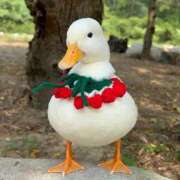 ヒメ日記 2025/11/02 14:53 投稿 すず 舐めフェチの会