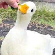 すず ぬくもり♡ 舐めフェチの会